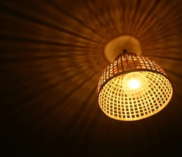 Bamboo Ceiling