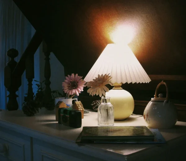 Pleated Lamp